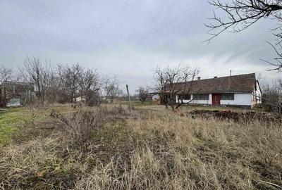 Casă în Central - 5