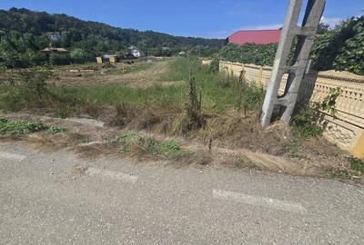 Teren Construcții intravilan de 2131 mp, în Băbana - 3