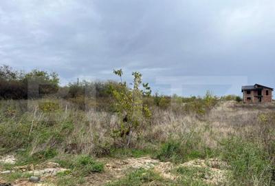 Teren 3400 mp, zona Carcea la E70/str Craiovei - 2