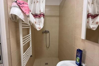 Casa la curte comuna, 1 camera, 40 mp + terasa generoasa - Balcescu - 4