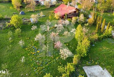 Spațiu comercial, în Coțofenești - 3