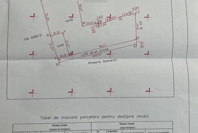 Domnesti-Curtea Domneasca-Radului,vecini selecti,utilitati langa teren,urbanism - 5