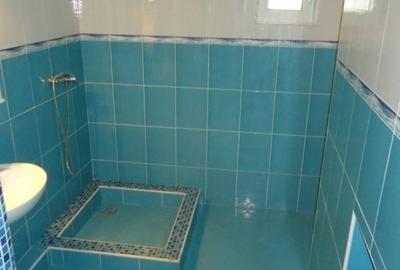 Inchiriere casa pentru locuit/birouri, zona Budiului - 12