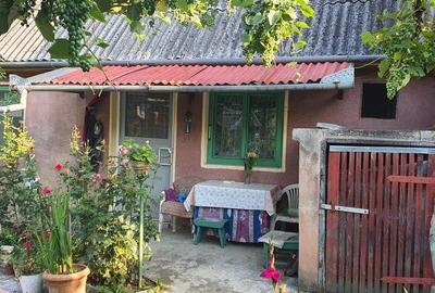 Casă cu 3 camere în Bord - 4