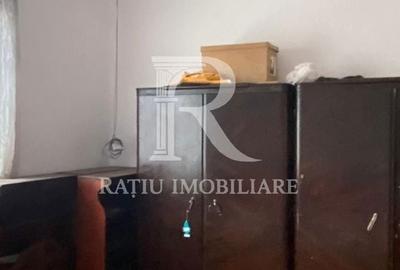 Casă cu 4 camere cu Teren 2000 Mp în Borș - 12