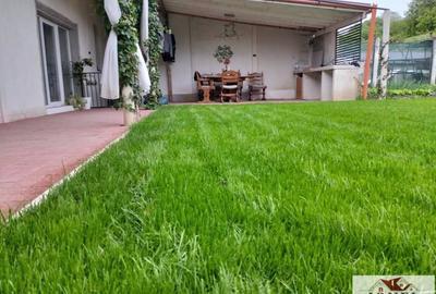 Casă individuală cu 2 camere cu Teren 305 Mp în Totoi - 3