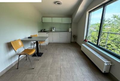 Ansamblu de hale, zona ie?ire spre Izvoare. Pre? 5 Eur/mp - 11