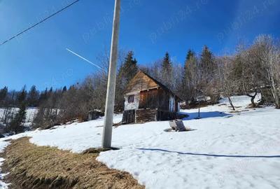 Casa batraneasca - 2