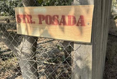 Teren de 2500 mp, în Exterior Vest - 1