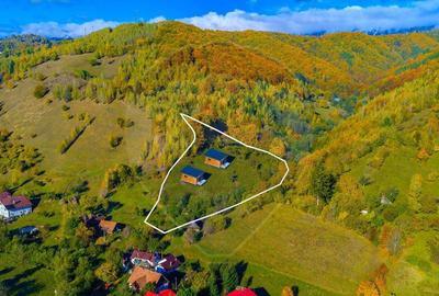 COMISION 0% Teren 11,381 mp Moieciu de Jos / Oportunitate... - 18