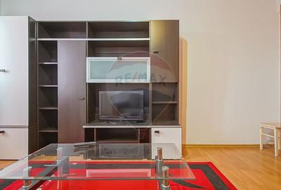 Apartament cu 1 camere semidecomandat, mobilat în Bartolomeu - 2