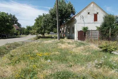 Teren de 867 mp, în Săcălaz