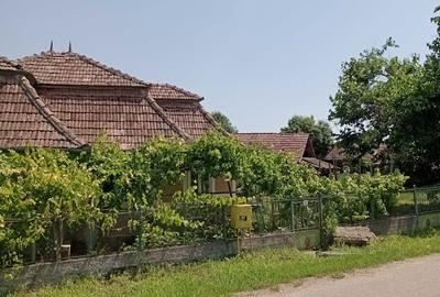 Casă cu 3 camere în Călărași - 3