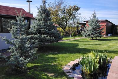 Casă cu 3 camere în Central - 1