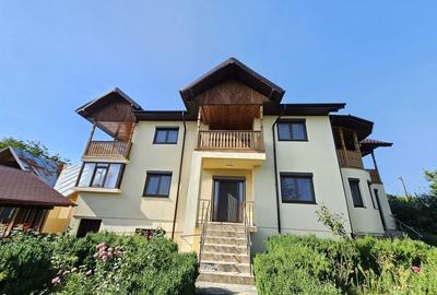Vila superba de vanzare in Vintila Voda, Buzau D+P+1 si anexe - 4