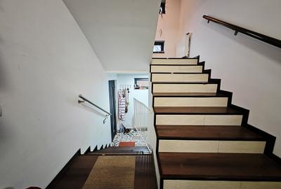 Vila S+P+1+M-318 m2 utili cu 1820 m2 teren situata vis a vis Lidl,Penny,Kaufland - 53