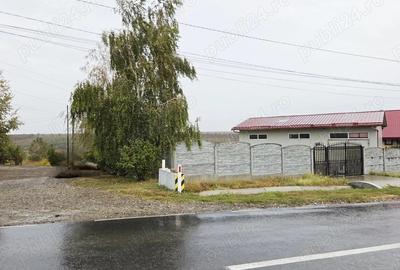 Hala cu teren de 751 mp in M. Kogalniceanu- la strada principala - 3