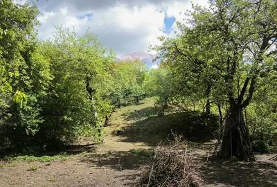 Teren de 3269 mp, în Slimnic - 10