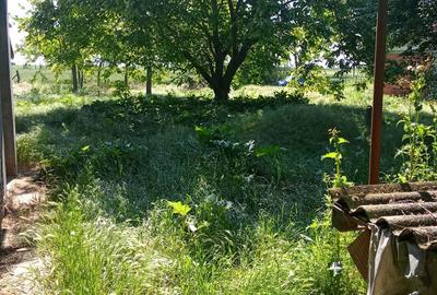 Casă cu 3 camere în Peregu Mare - 3