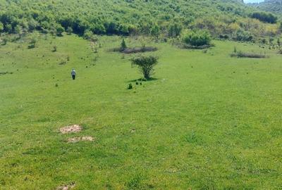 Teren extravilan 3408 mp in Gura Raului - 1