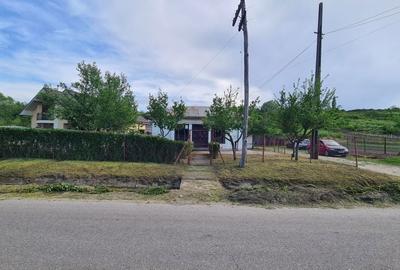 Casă cu 3 camere în Teslui - 3