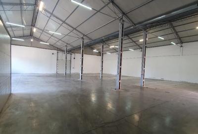 Inchiriez hala zona Sanicolaul Mic - ID : RH-40332-property - 4