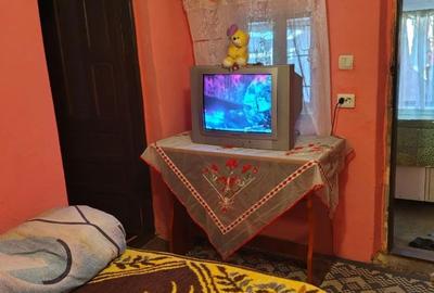 Casă cu 2 camere în Romanești - 1