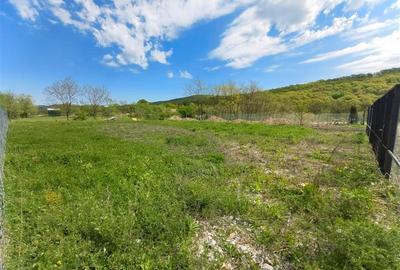 Teren agricol extravilan de 512 mp, în Periferie - 3