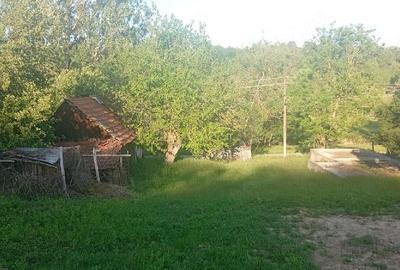 Casă cu 2 camere în Lăpușnic - 1