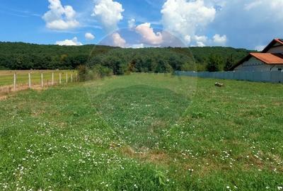 Teren Construcții intravilan de 2469 mp, în Bălata - 2