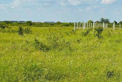 MT219 Teren intravilan Rudicica, 551mp - 4