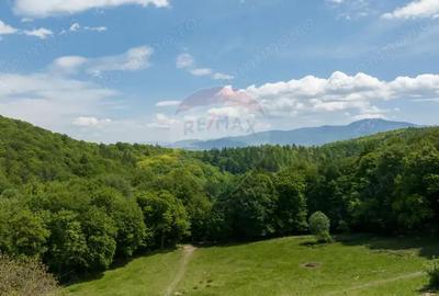 Teren de 5310 mp, în Colonia 1 Mai - 2