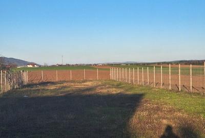 Teren de 1550 mp, în Aurel Vlaicu - 3