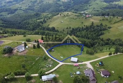 Teren Construcții intravilan de 4649 mp, în Moieciu - 1