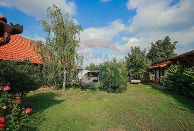 De vanzare Casa tradi?ionala, la doar 20 de minute de... - 17