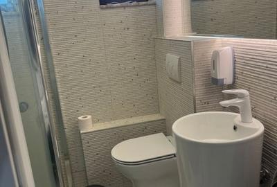 Apartament cu 3 camere decomandat, mobilat în Capitale - 15