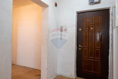 Vanzare apartament 3 camere de vânzare în zona Pantelimon - 15
