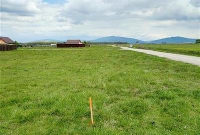 FILM! Teren intravilan cu suprafata de 872 mp, Harman, Brasov - 14