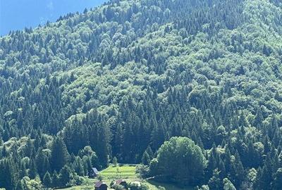 Teren Bran- zona Simon 10283 mp , Balaban, Brasov - 3