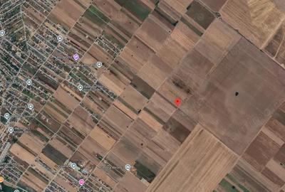 Teren Extravilan In Rate Primaverii Com. Berceni | 2670mp | #EG52 - 2