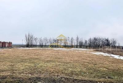 Teren în Săucești - 7