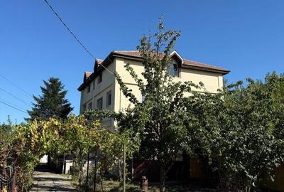 Spațiu comercial, de 700 mp, în Cățelu - 13