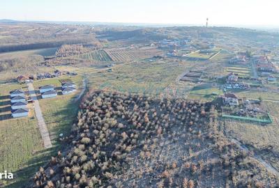 Spațiu comercial, în Paleu - 2