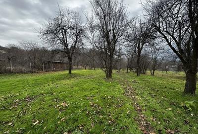 Casă cu 2 camere în Dobrotu - 7