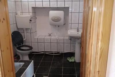 Casă cu 3 camere cu Teren 3000 Mp în Fârliug - 10