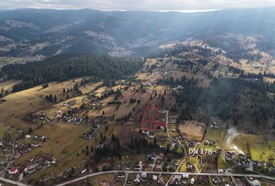 Teren de 7869 mp, în Dorna-Arini - 5