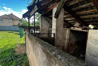 Reco Casa cu gradina Beius - 13