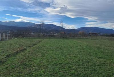 Spațiu comercial, în Central - 9