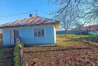 Casă cu 3 camere cu Teren 1225 Mp în Central - 1