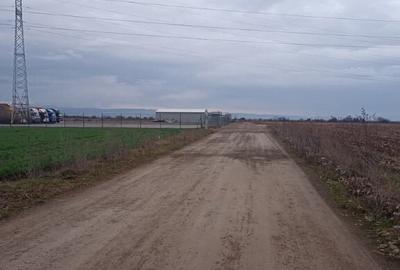 De vanzare terenuri intravilane intre Chilieni si Ozun - 3